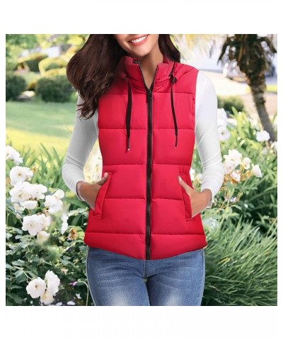 Women's Warm Vest Outerwear Thick Padded Sleeveless Casual Vest With Detachable Hood Outdoor Vests for Women Red $15.07 Vests