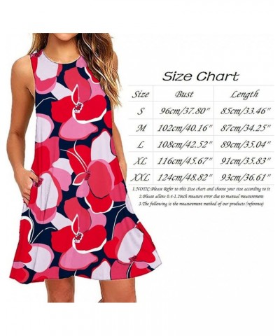 Summer Dresses for Women Beach Floral Tshirt Sundress Sleeveless Pockets Casual Loose Tank Dress Beach Mini Sundress As6-oran...