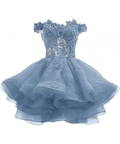 Teens Short Prom Dresses Off The Shoulder Lace Applique Homecoming Dress Organza Cocktail Dresses Dusty Blue $39.96 Dresses