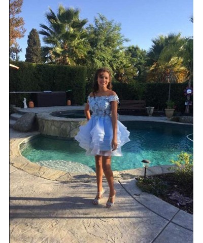 Teens Short Prom Dresses Off The Shoulder Lace Applique Homecoming Dress Organza Cocktail Dresses Dusty Blue $39.96 Dresses