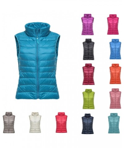 Women Sleeveless Puffer Jacket Bubble Vest for Women Plus Women's Quilted Puffer Vest Vintage Puffer Vest Women White $11.97 ...