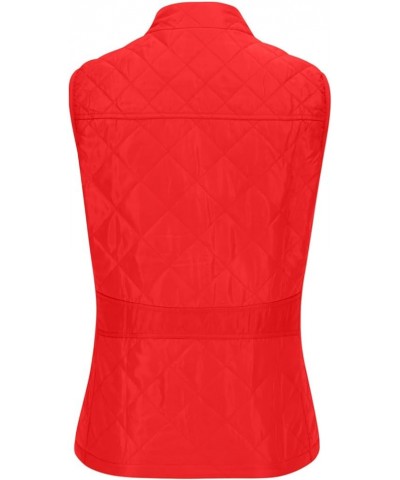 Women's Quilted Vest, Puffer Sleeveless Jacket for Women, Stand Collar Lightweight Zip Padded Gilet Warm Waistcoat Red $11.51...